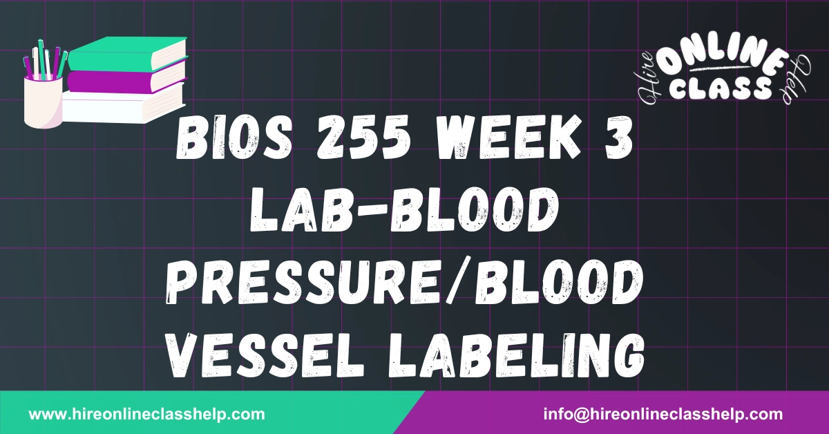 BIOS 255 Week 3 Lab-Blood Pressure/Blood Vessel Labeling