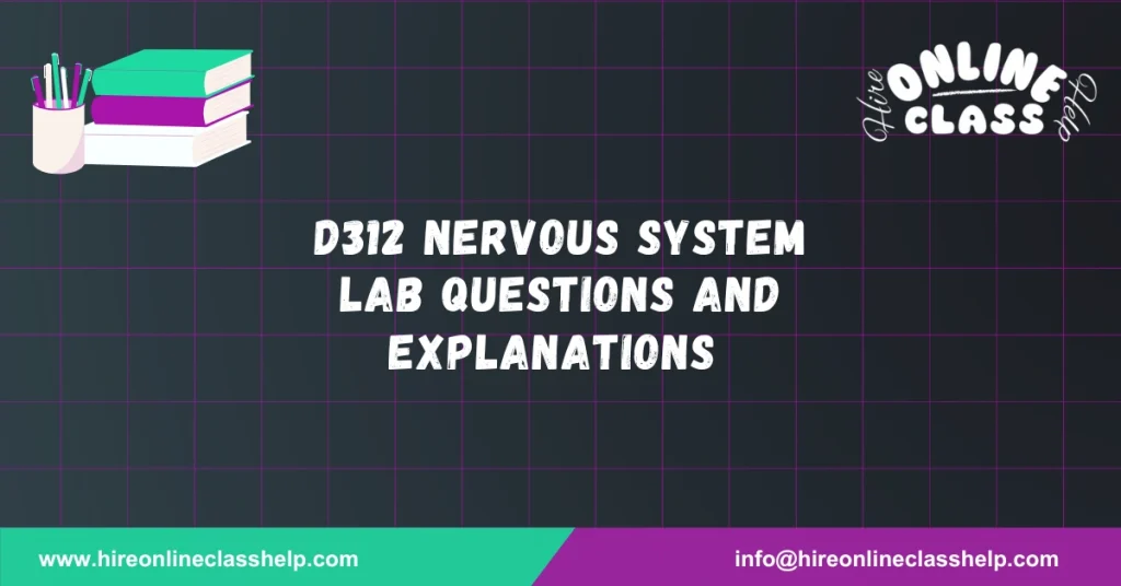 D312 Nervous System Lab Questions and Explanations