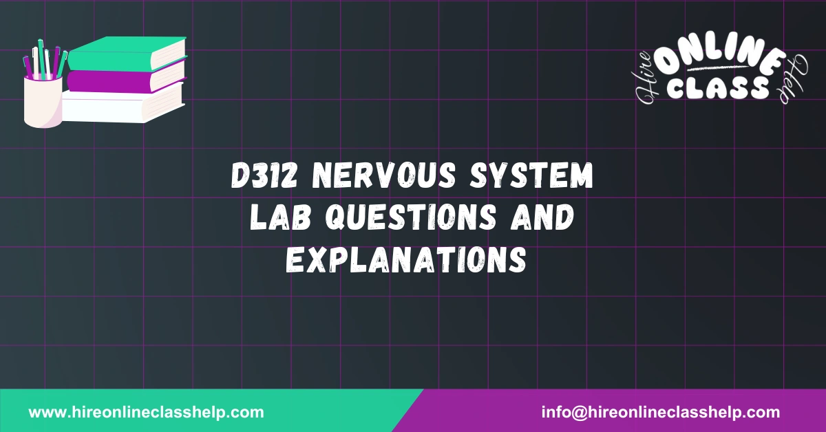 D312 Nervous System Lab Questions and Explanations