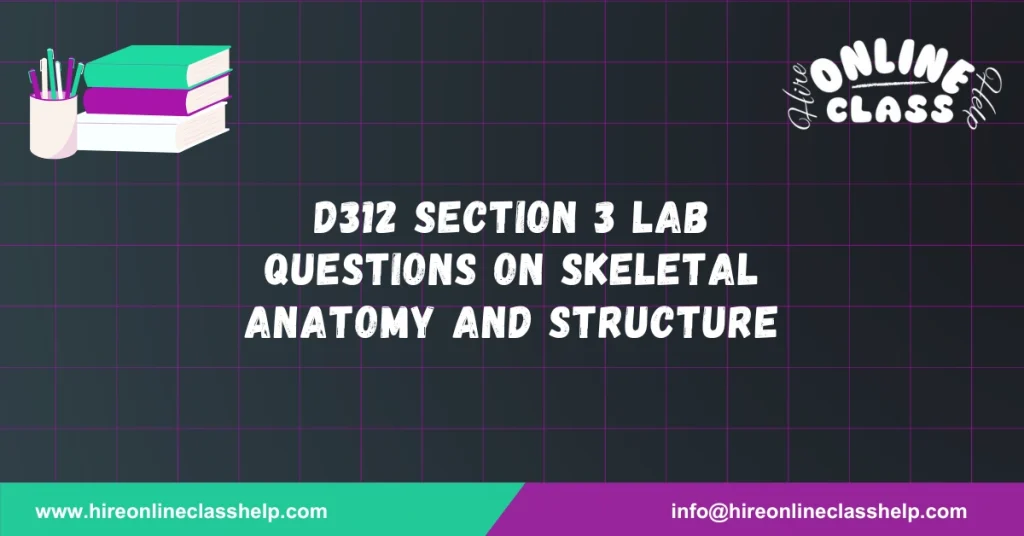 D312 Section 3 Lab Questions on Skeletal Anatomy and Structure