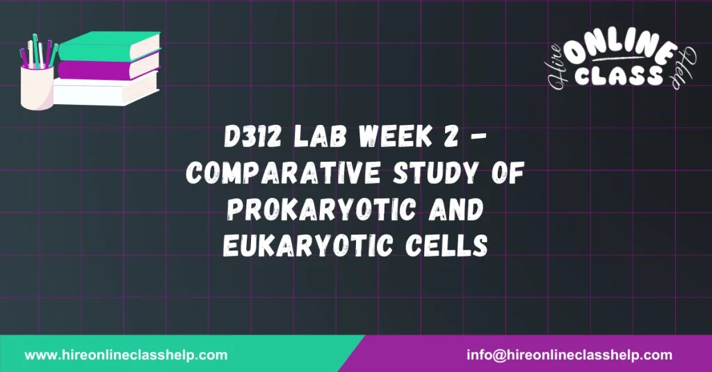 D312 Lab Week 2 - Comparative Study of Prokaryotic and Eukaryotic Cells