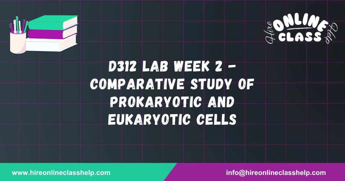 D312 Lab Week 2 - Comparative Study of Prokaryotic and Eukaryotic Cells