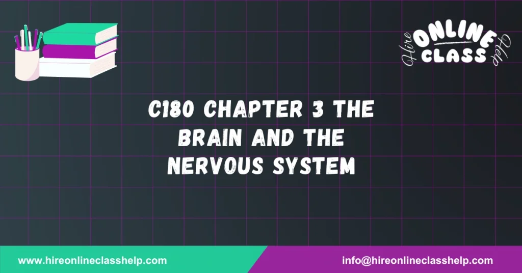 C180 Chapter 3 The Brain and the Nervous System