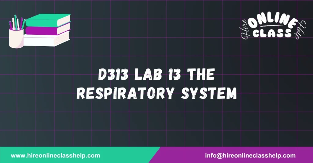 D313 Lab 13 The Respiratory System