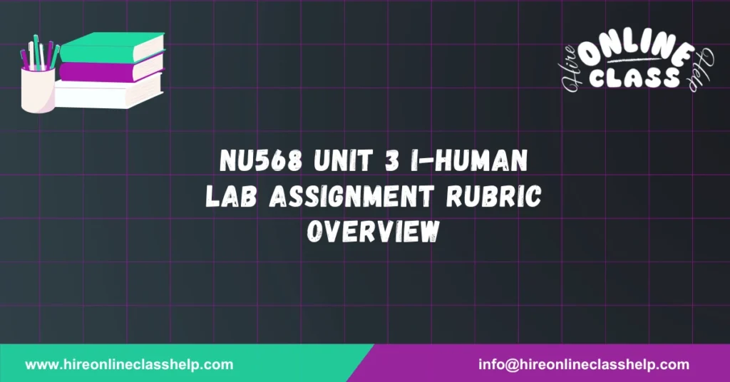 NU568 Unit 3 i-Human Lab Assignment Rubric Overview